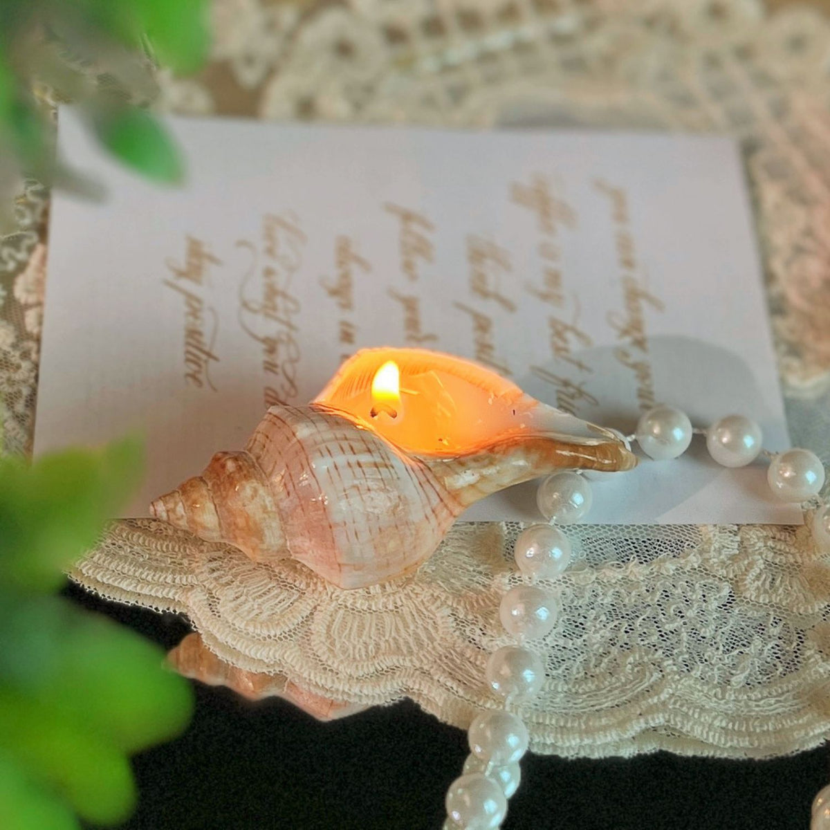 Shell Yeah! Conch Candle