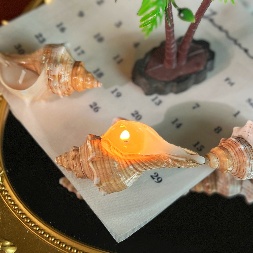Shell Yeah! Conch Candle