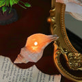 Shell Yeah! Conch Candle