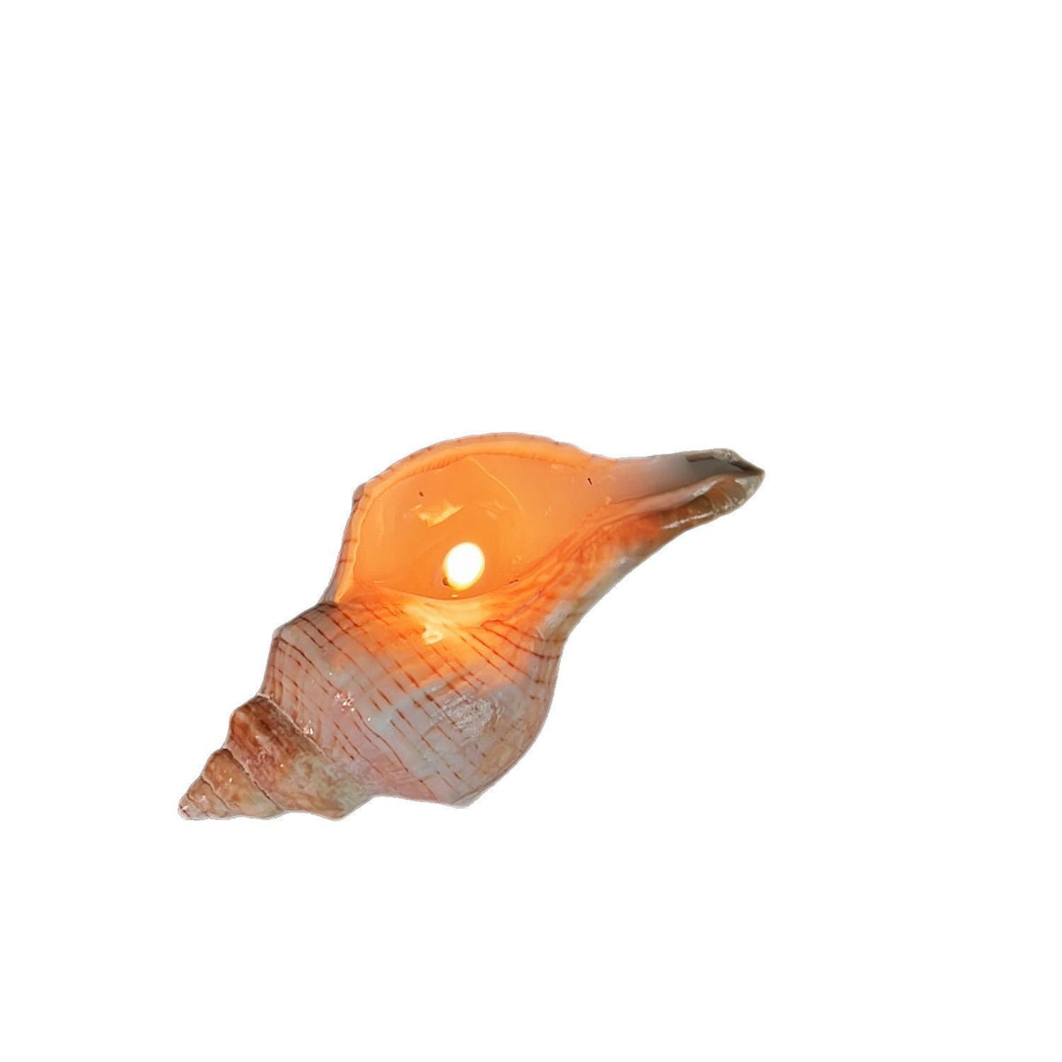 Shell Yeah! Conch Candle