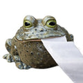 Pretty Little Tissues- Funny Tissue Holders