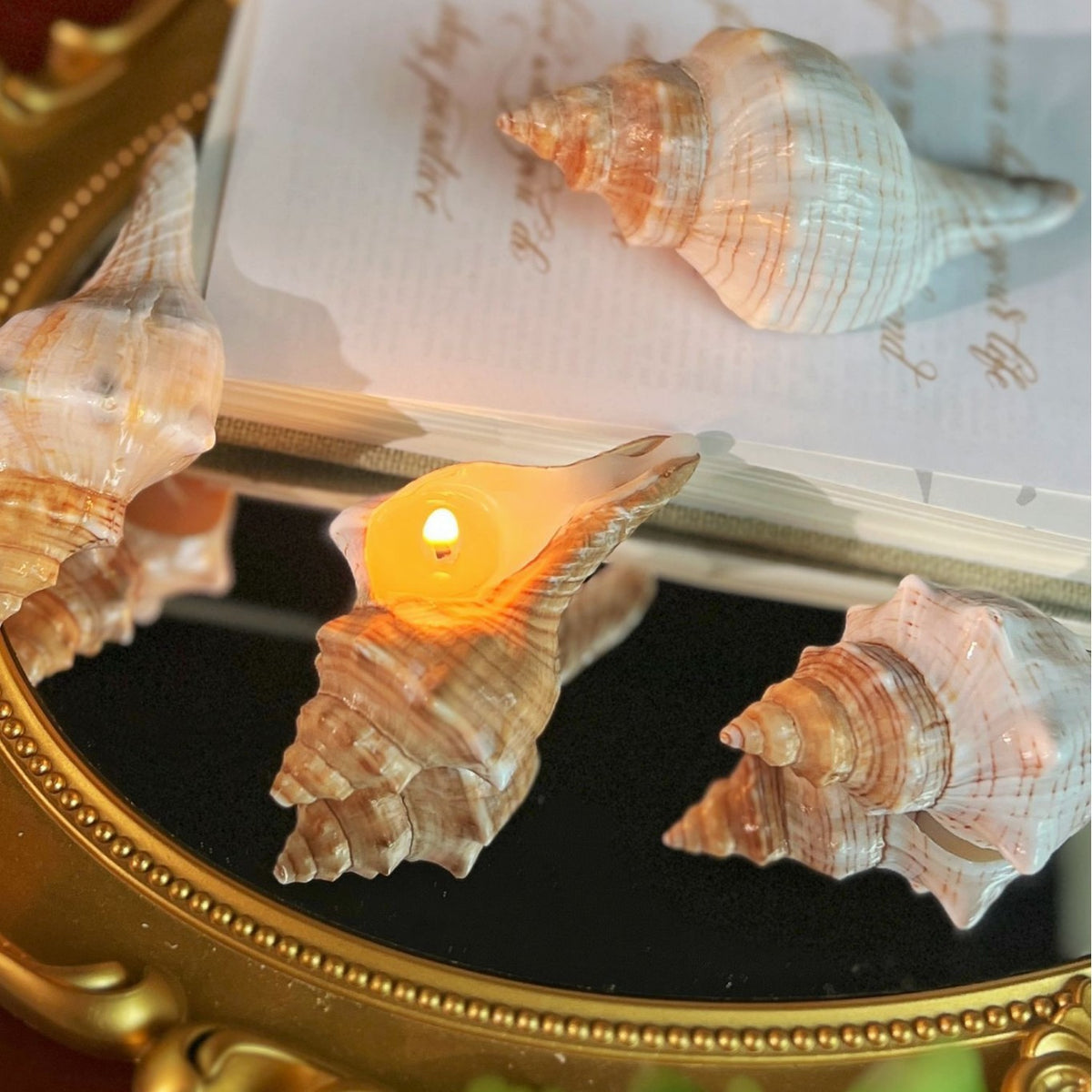 Shell Yeah! Conch Candle
